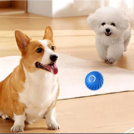 Brinquedo para cachorro agitado gastar energia: bolinha interativa vale a pena?